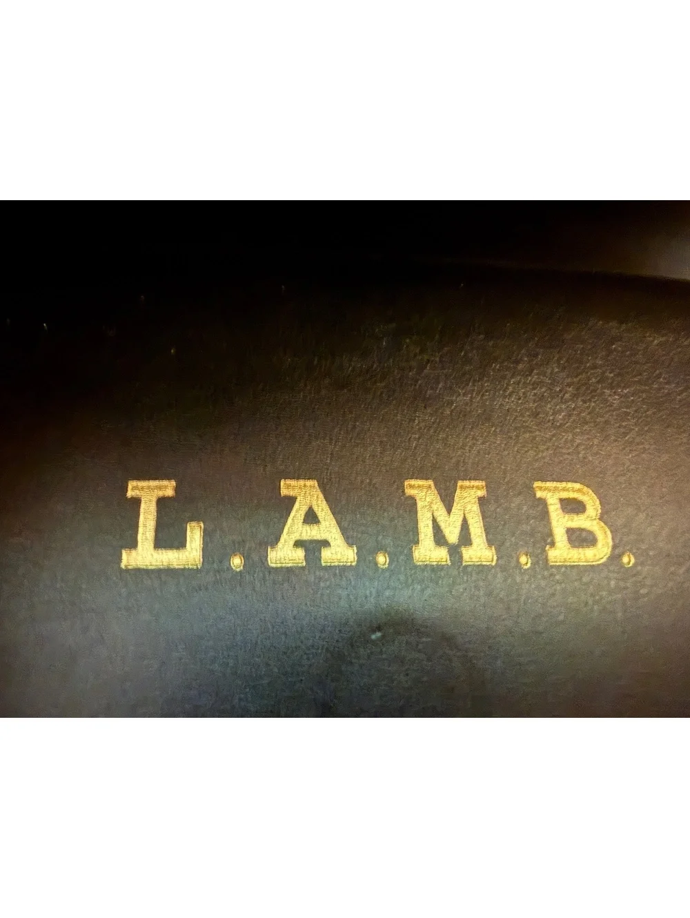 L.A.M.B. Black Leather Eyeglass Case with Cleaning Cloth